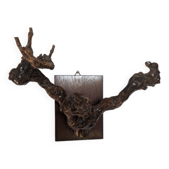 Old vine hook