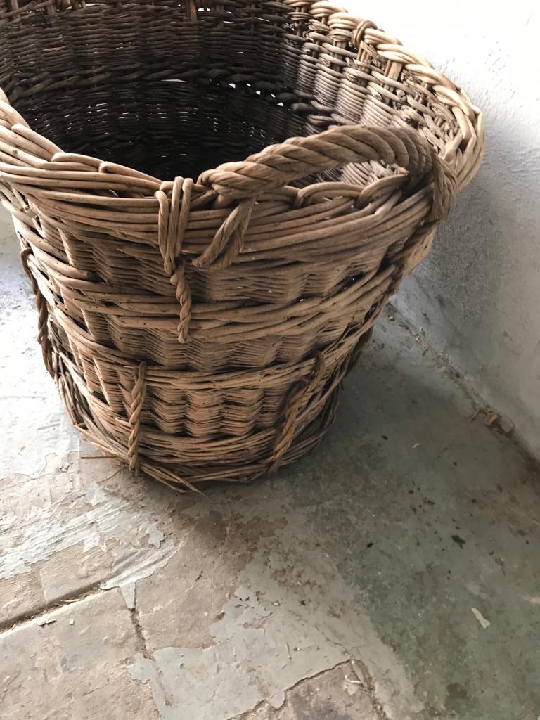 Harvest basket