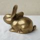 Lapin laiton
