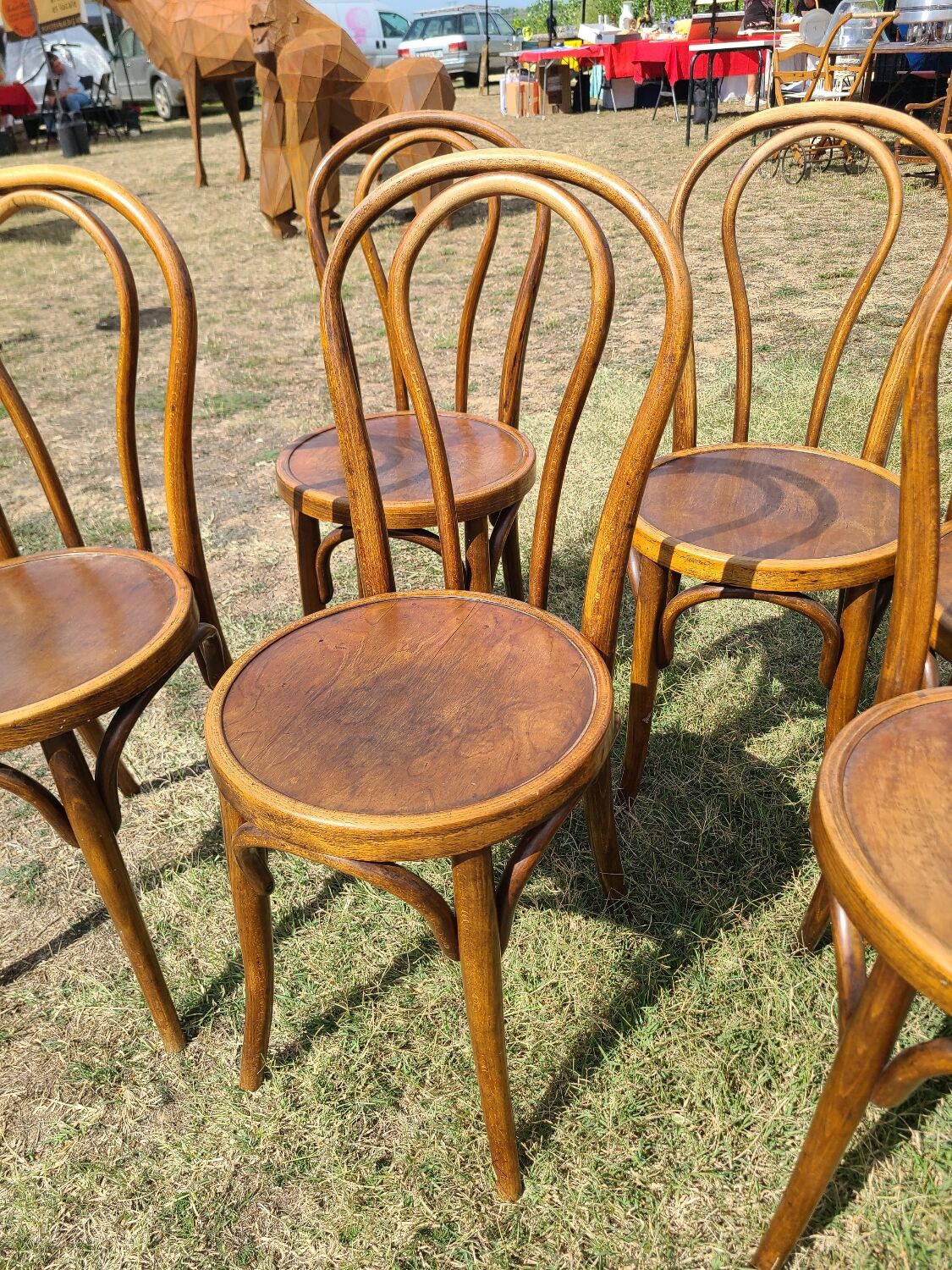 6 bentwood chairs early 20th