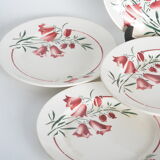 Dessert plates St Amandinoise