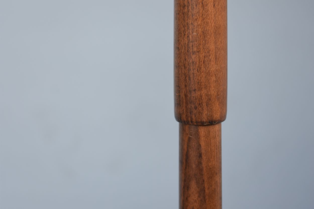 Baumann house parrot coat door