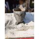 Aluminium planter from 1900 by the Charleville-Mézières establishments.