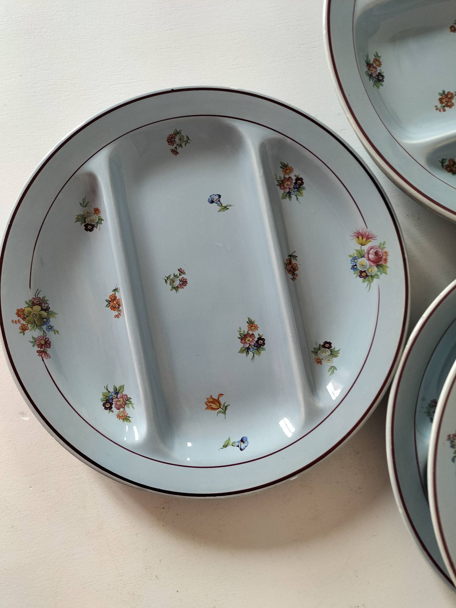 7 assiettes compartimentées Salins France