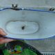 Old wall fountain in enamelled sheet metal decorated with blue flowers on a white background