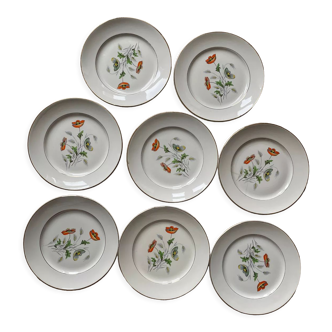 Poppy plates