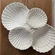 Ceramic shell-shaped serving dish