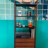 Vintage Scandinavian bookcase