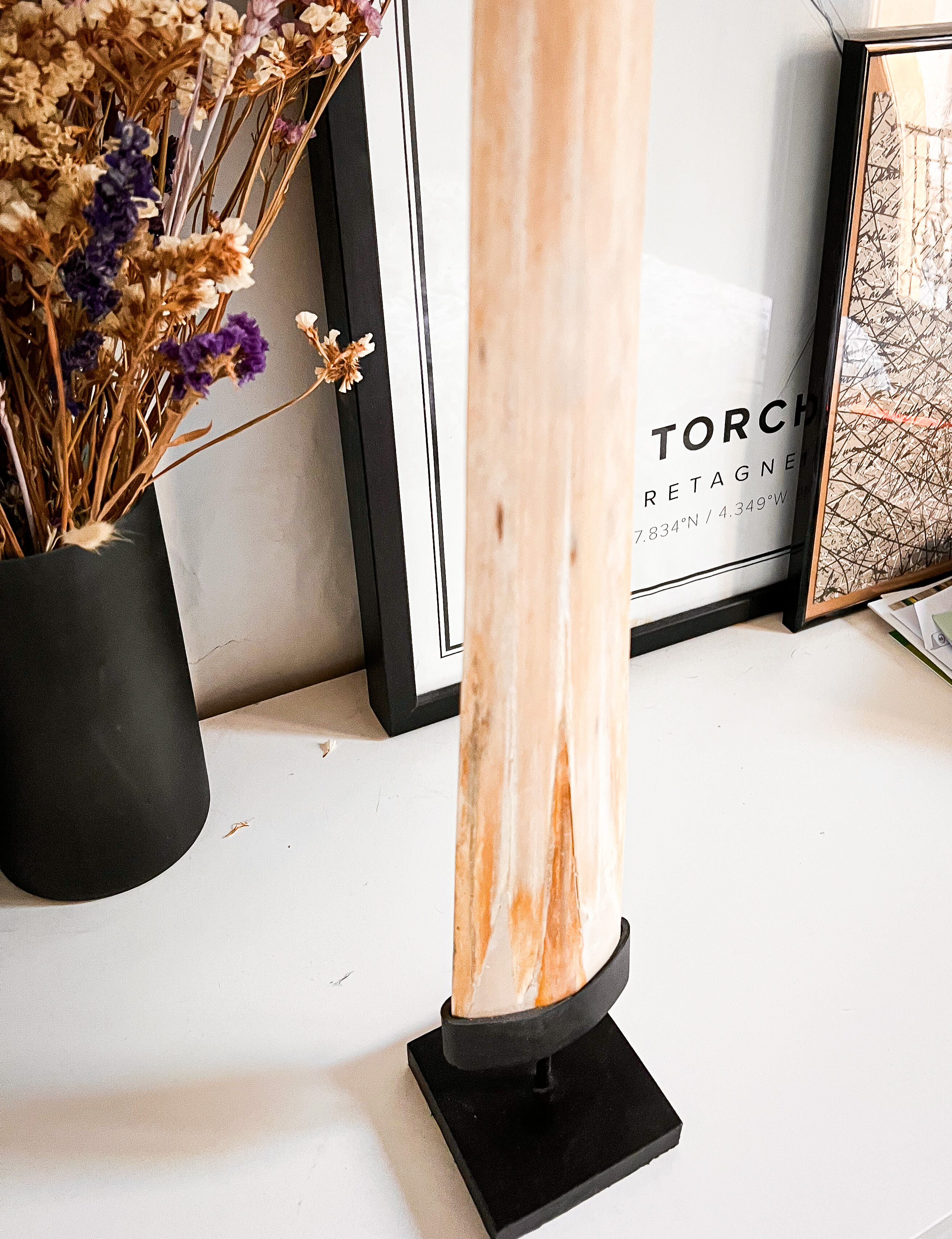 Swordfish tusk on base