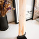 Swordfish tusk on base