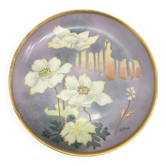 Assiette decorative en porcelaine