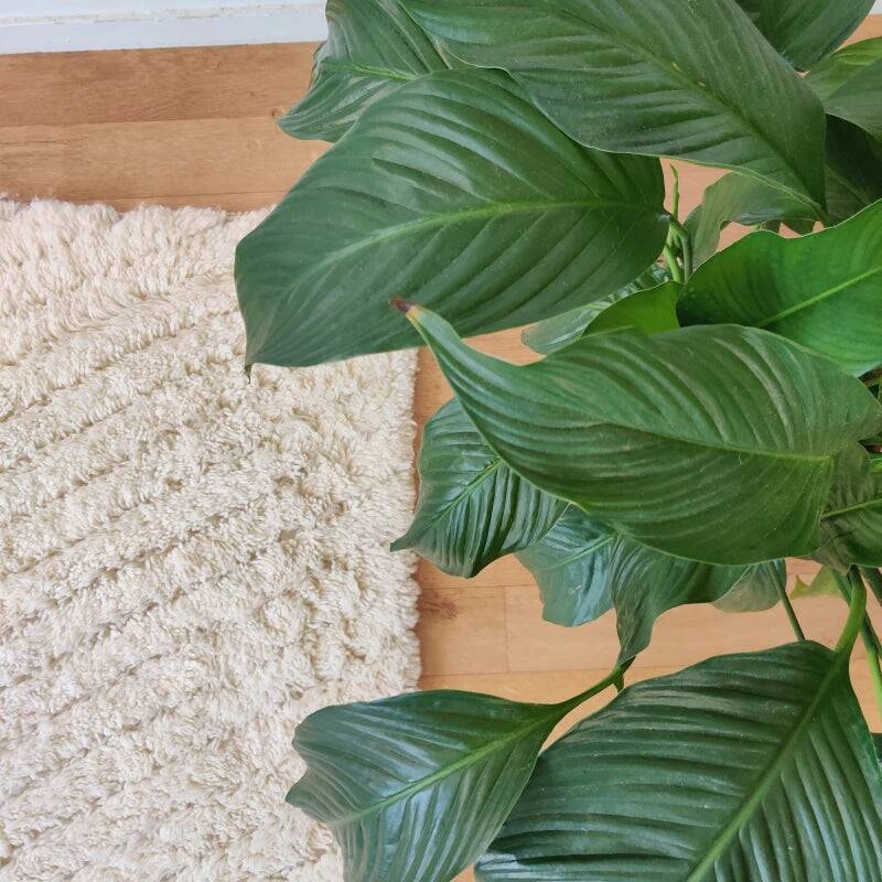 Béni Ouarain rug white Shaggy 105x165 cm