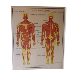 Affiche pédagogique