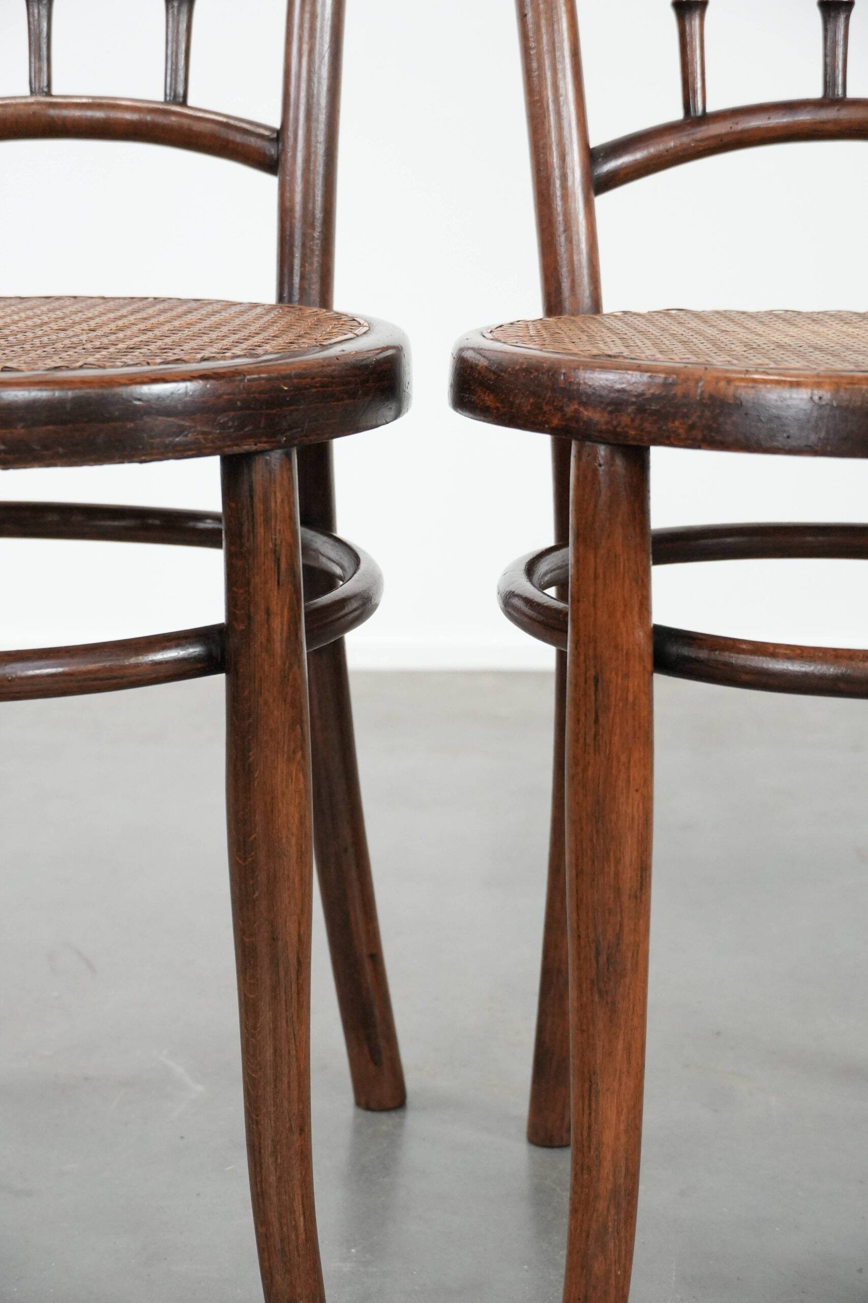 Beautiful set of 6 wooden vintage bistro chairs by Jacob & Josef Kohn Wien with cane seat
