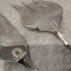 Fish serving set, 2 pieces, silver-plated metal, Apollo Empire silversmith