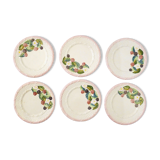 Set of 6 plates blackberries slurry
