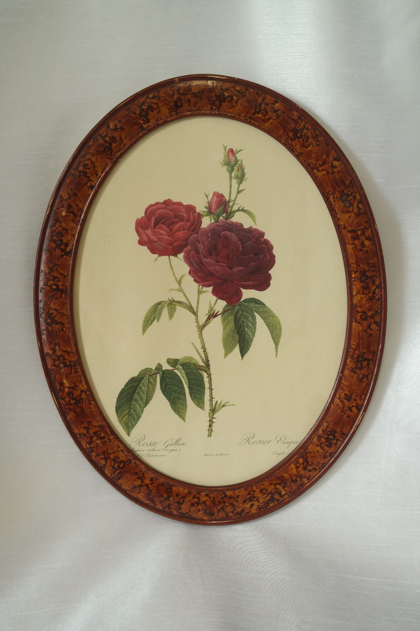 Framed botanical board Vintage rose
