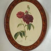 Framed botanical board Vintage rose