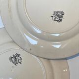 Floral iron earth plate