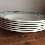 6 soup plates