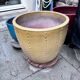 Large glazed ceramic flower pots – perfect for terrace or