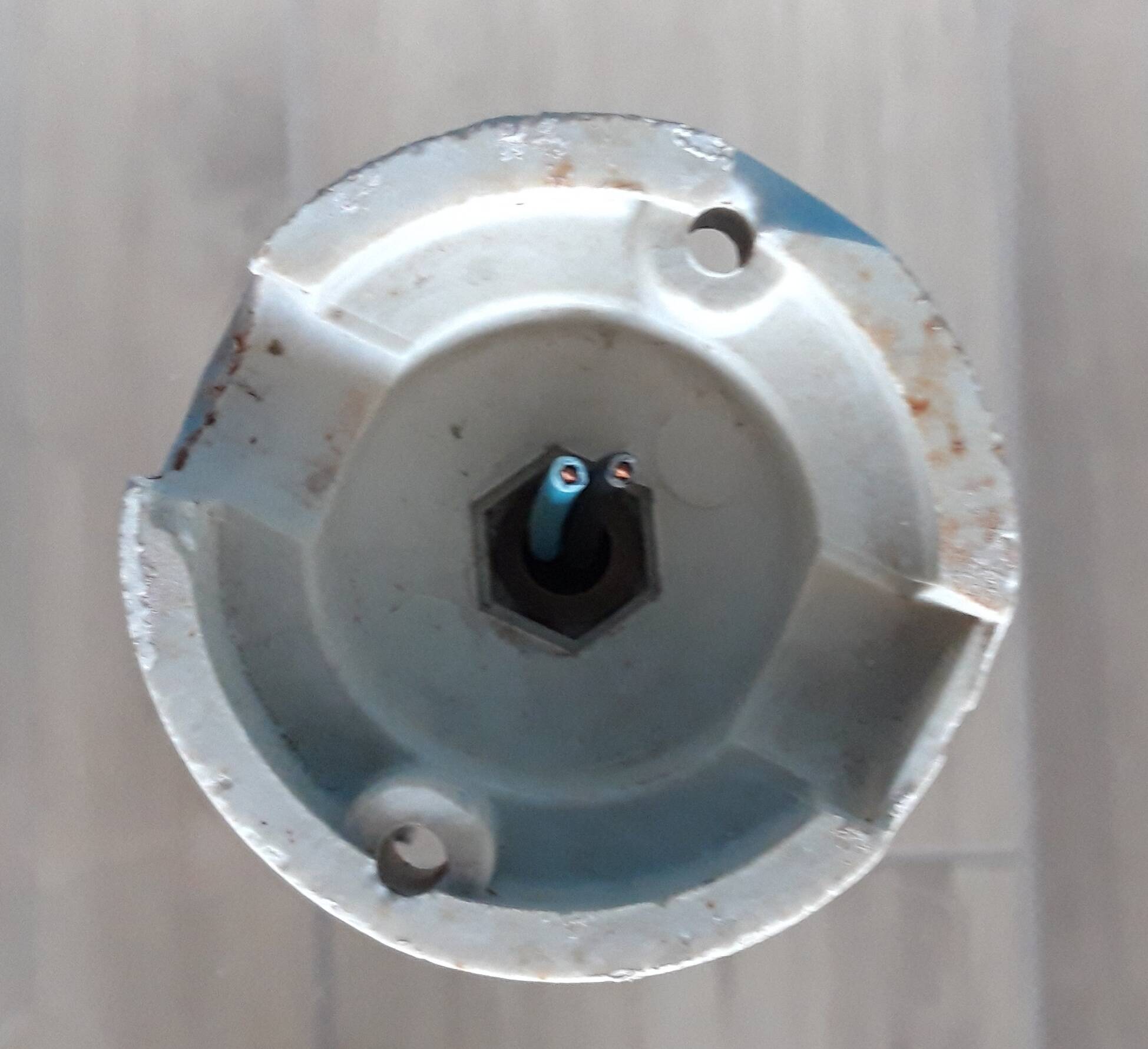 Pair of Art Nouveau 1900 frosted glass ceiling lights and their base