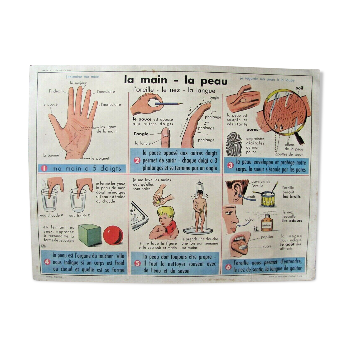 School poster - the hand the skin - the threads the fabrics