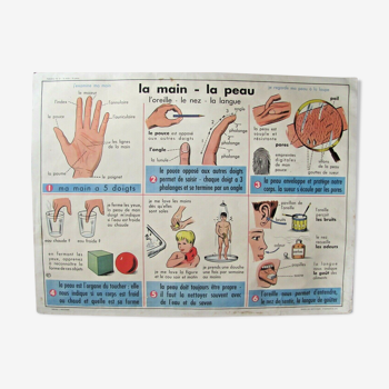 School poster - the hand the skin - the threads the fabrics