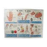 School poster - the hand the skin - the threads the fabrics
