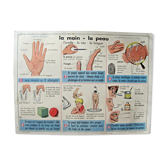 School poster - the hand the skin - the threads the fabrics