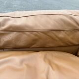 Sofa Petronio 603 de Tito Agnoli pour Poltrona Frau