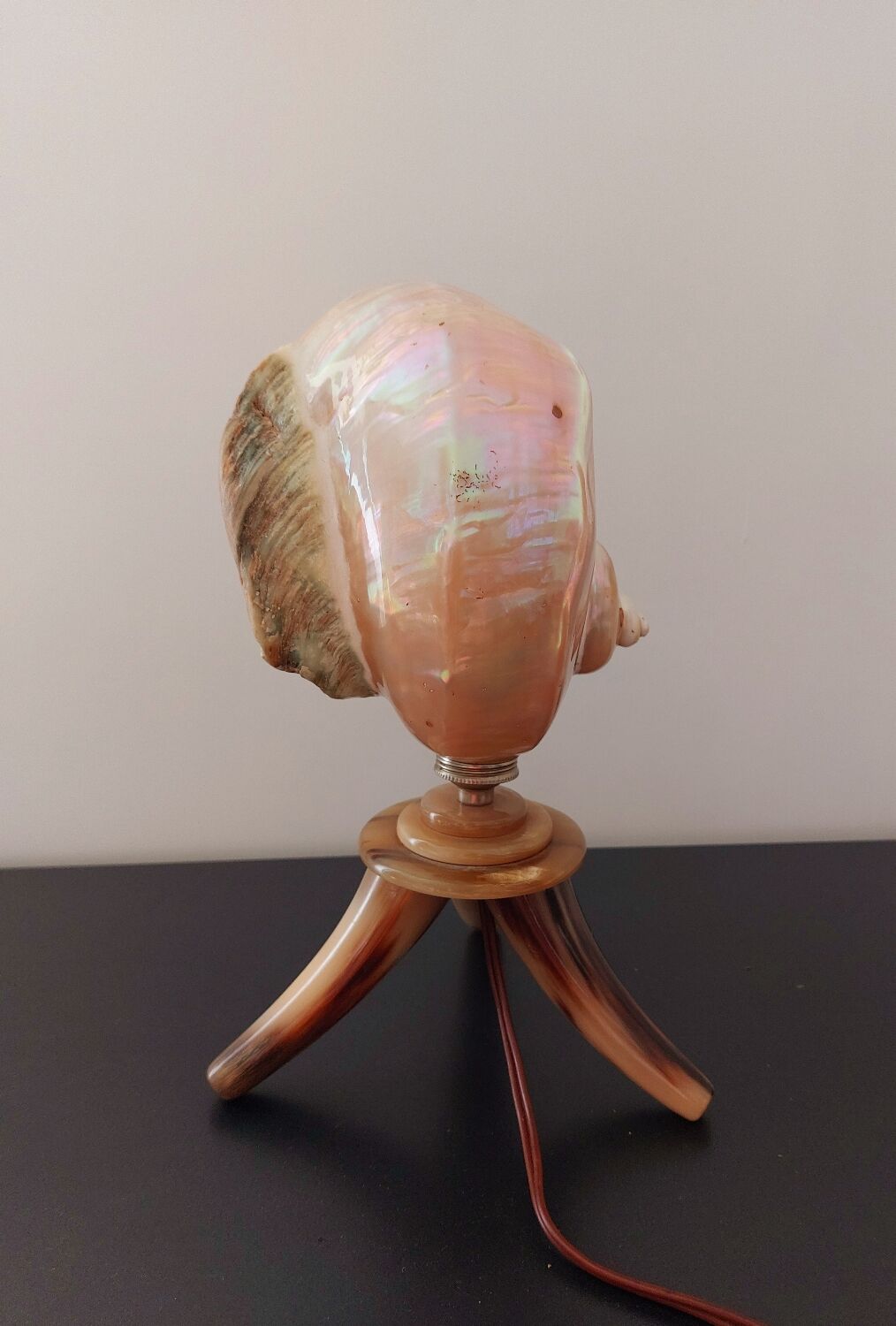 Shell lamp 50s