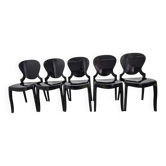 Ensemble de cinq chaises design Queen, Pedrali, Claudio Dondoli et Marco Pocci, années 2000.