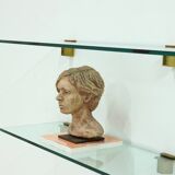 Rare Large Peter Ghyczy Brass and Glass Wall-Mounted Shelving Unit 1970s