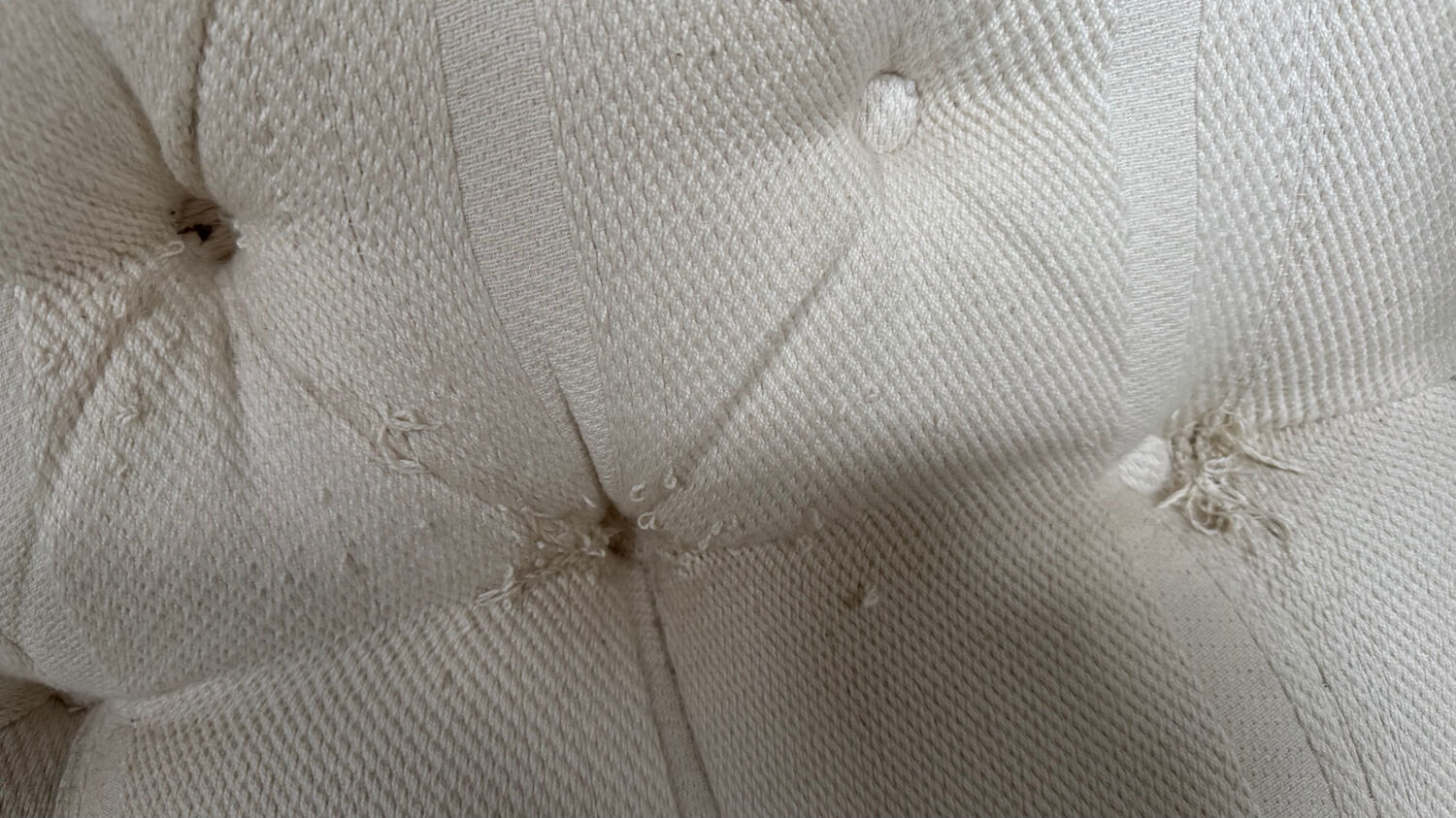 Vintage wingback armchairs