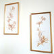 Pair of signed herbarium frames