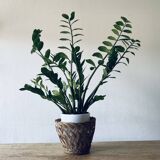 Cache pot vintage