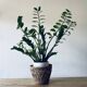 Cache pot vintage