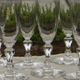 Set of 6 antique crystal champagne flutes. Engraved frieze.