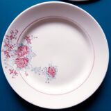 6 assiettes St-Amand