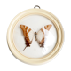 Cadre vitrine bombée : papillon naturalisé blanc et marron, années 60