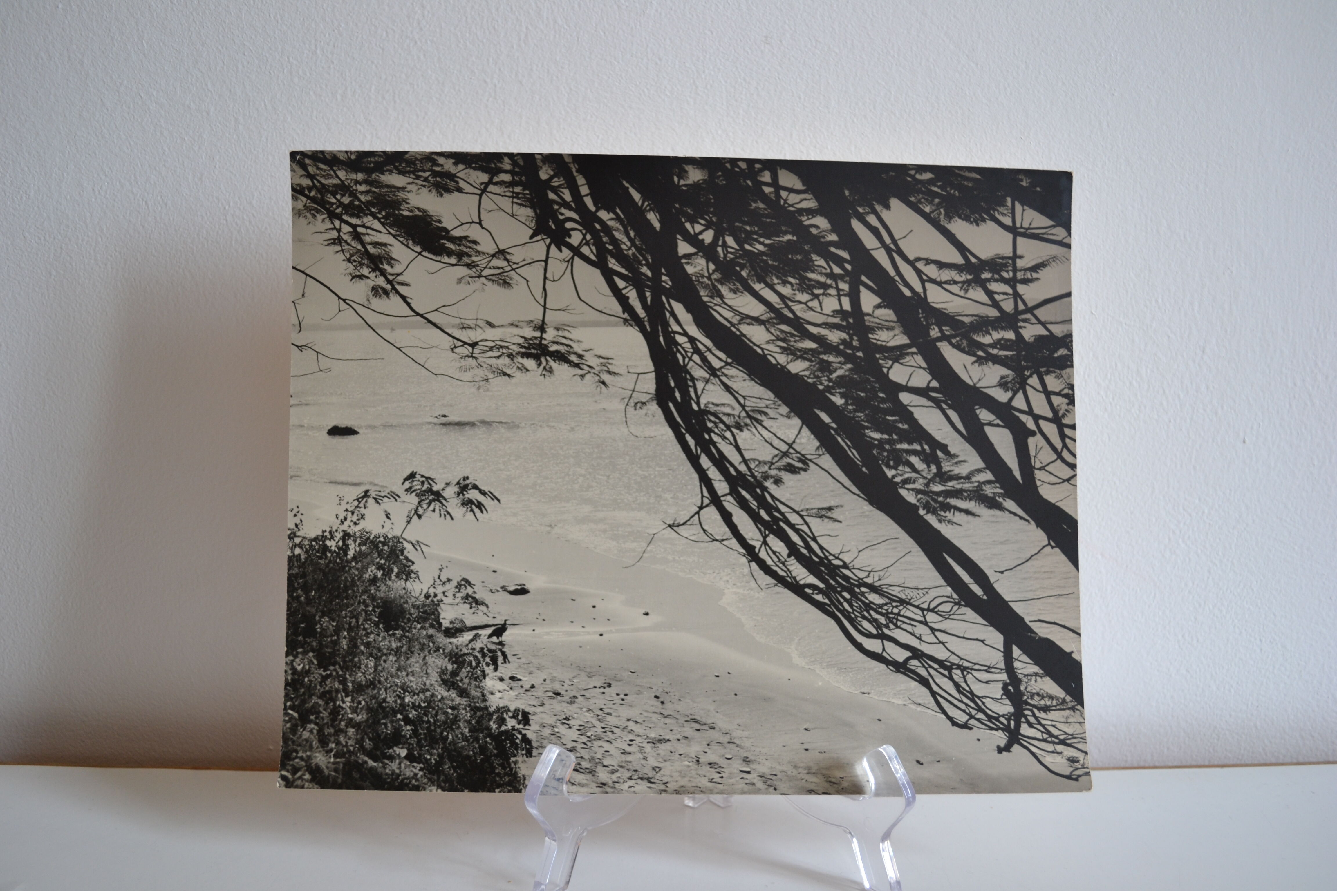 Anonymous silver photo africa beach sea circa 1970