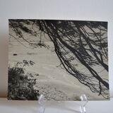 Anonymous silver photo africa beach sea circa 1970