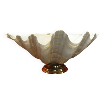 Shell on base, holy water font
