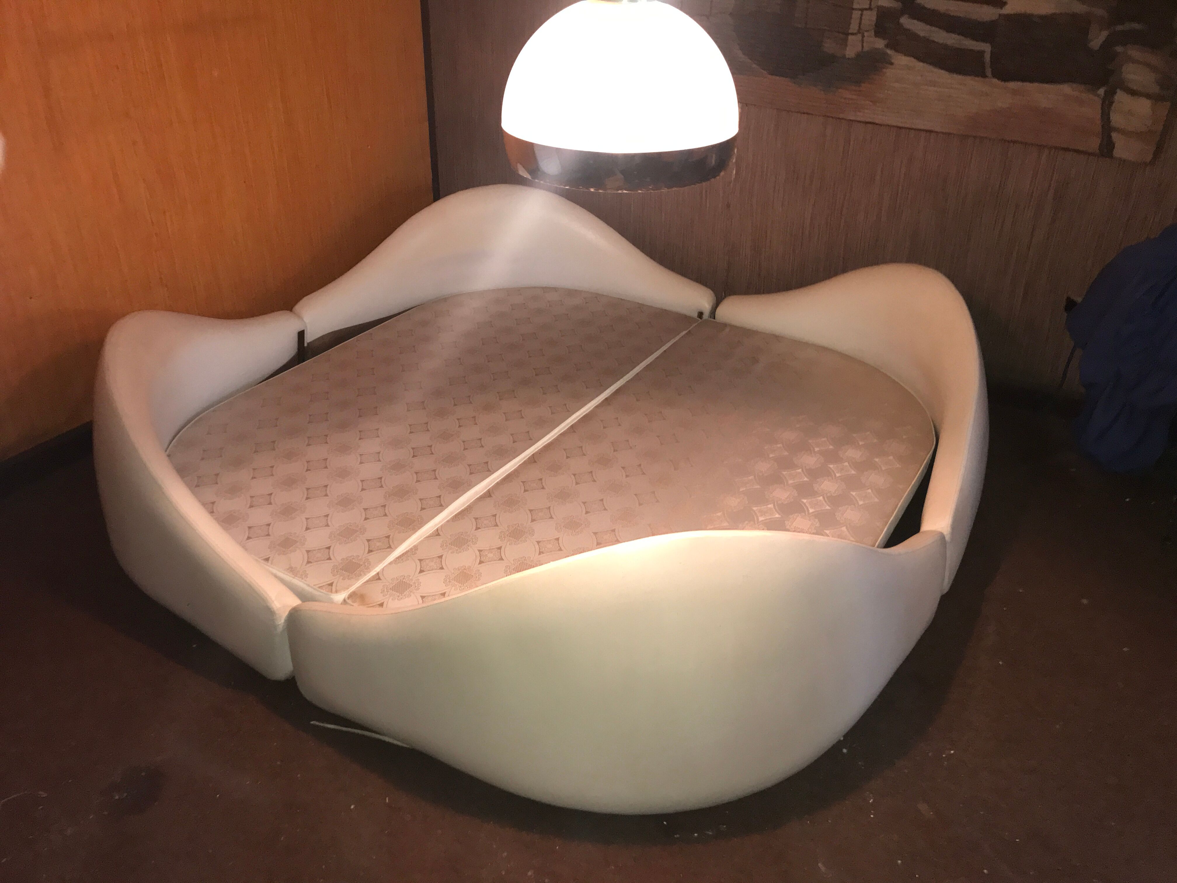 Anemone bed by Bernard Gauvin 1972