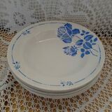 6 Moulin des Loups soup plates