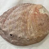 Empty shell pocket