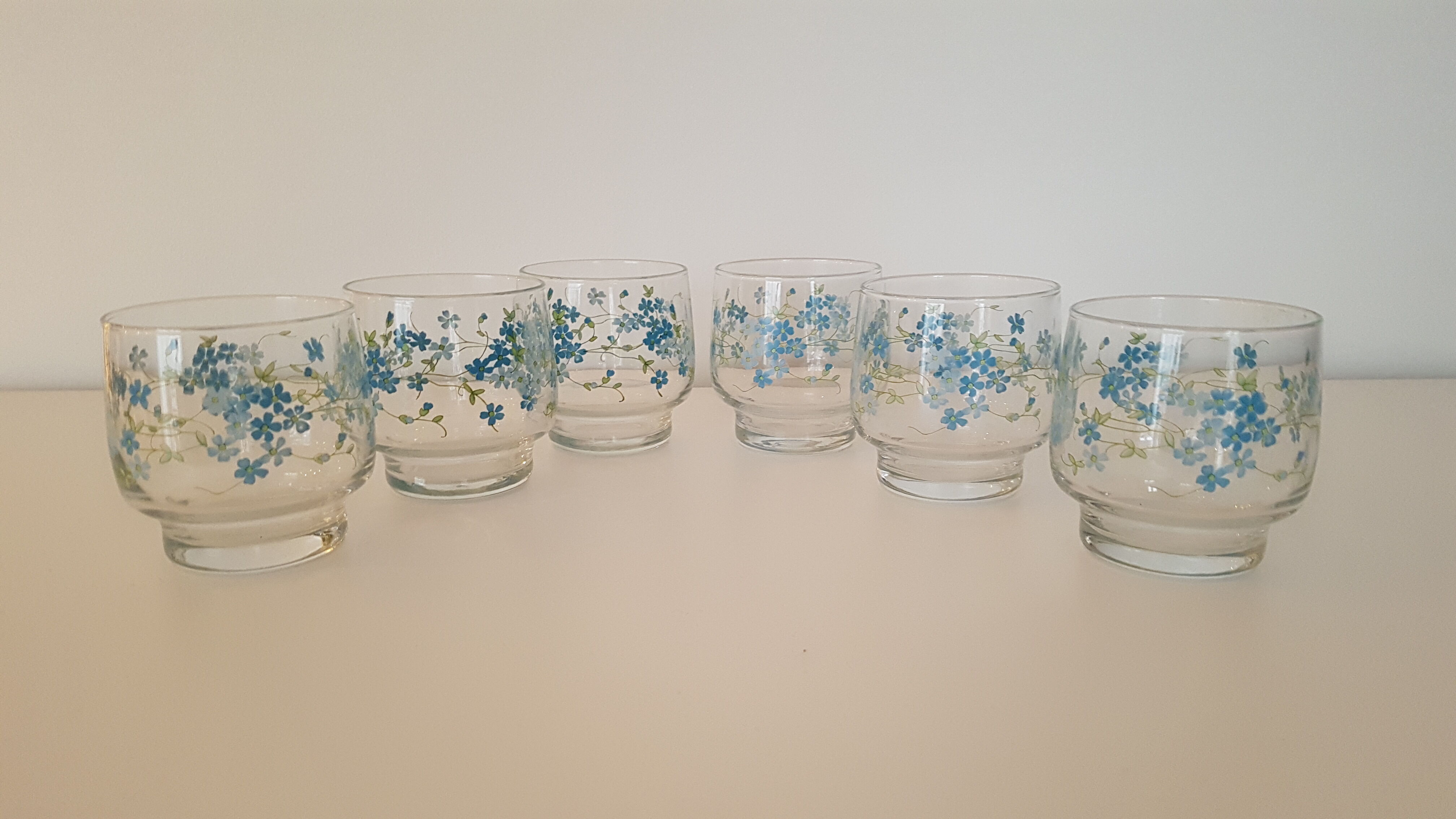 Full service 24 pieces Arcopal Myosotis Veronica