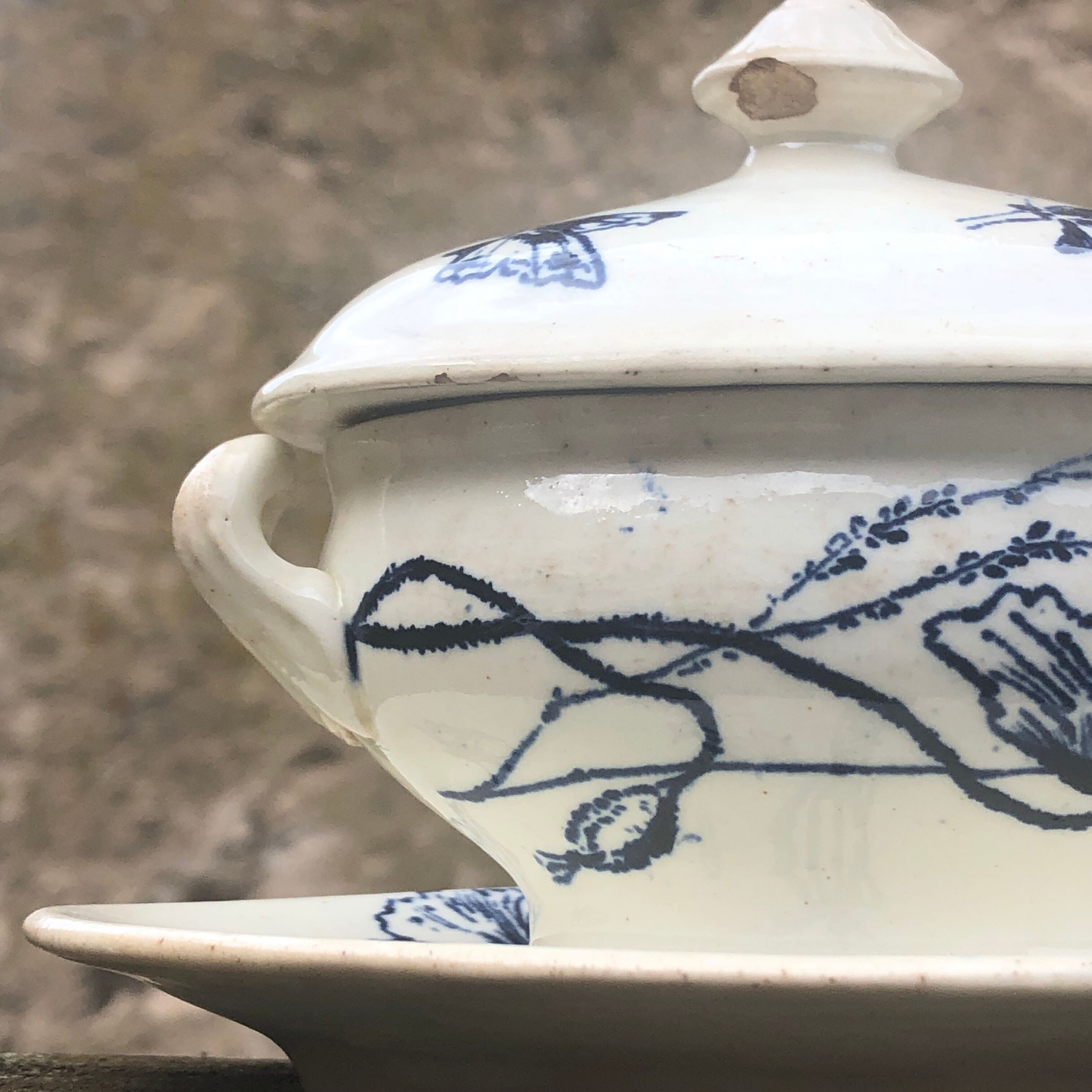 Safe mustard tree sleeping earthenware