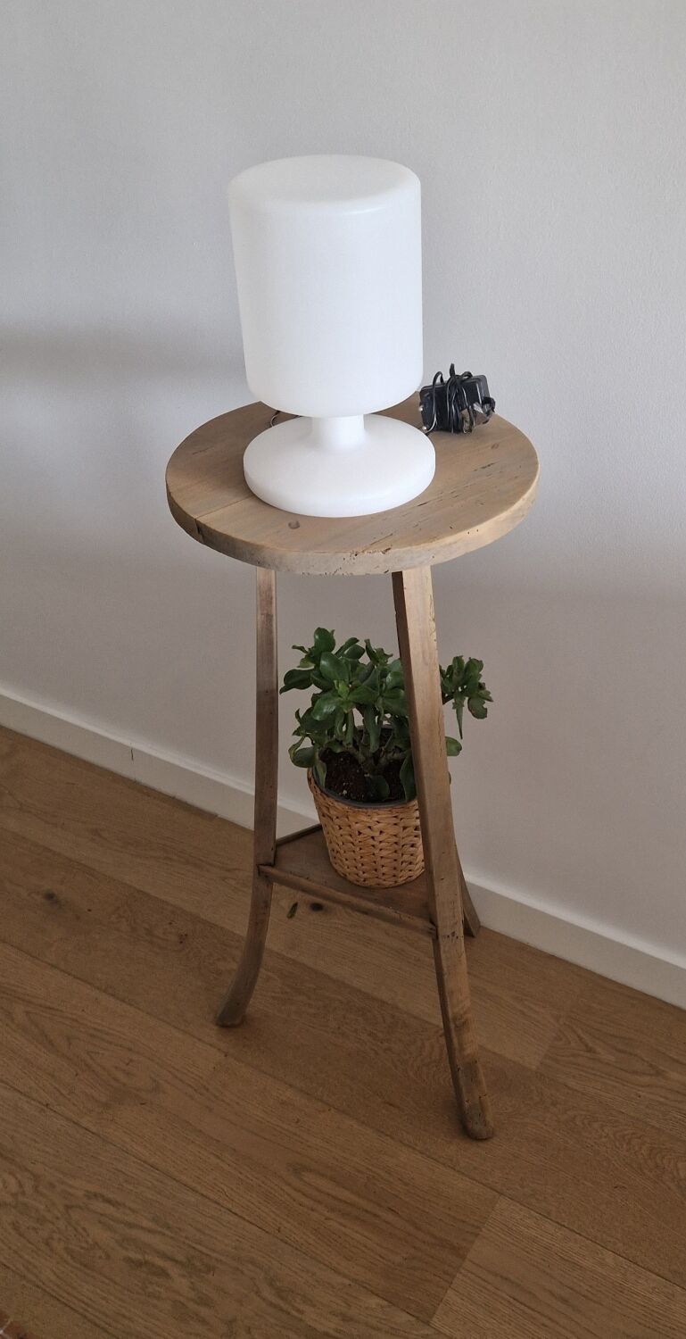 Old pedestal table driftwood